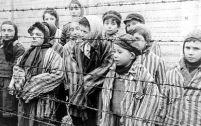 Making sense of the Holocaust